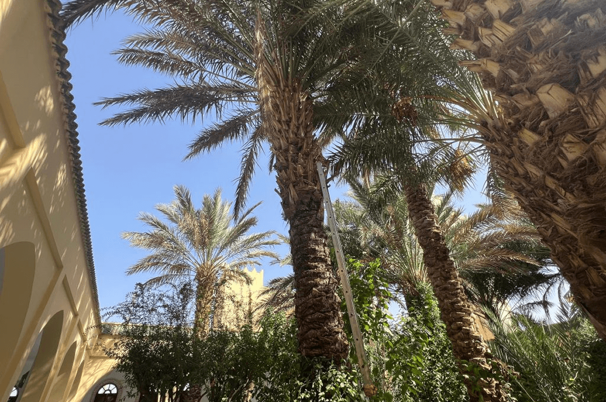 Casablanca tourism, Merzouga desert tours