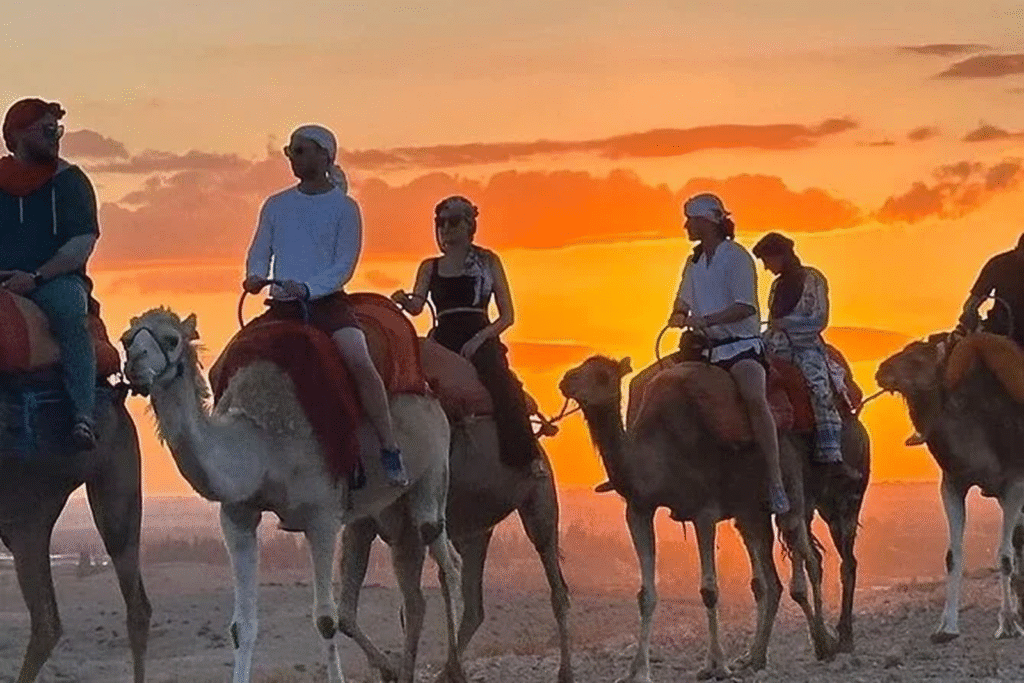 camel ride Marrakech
