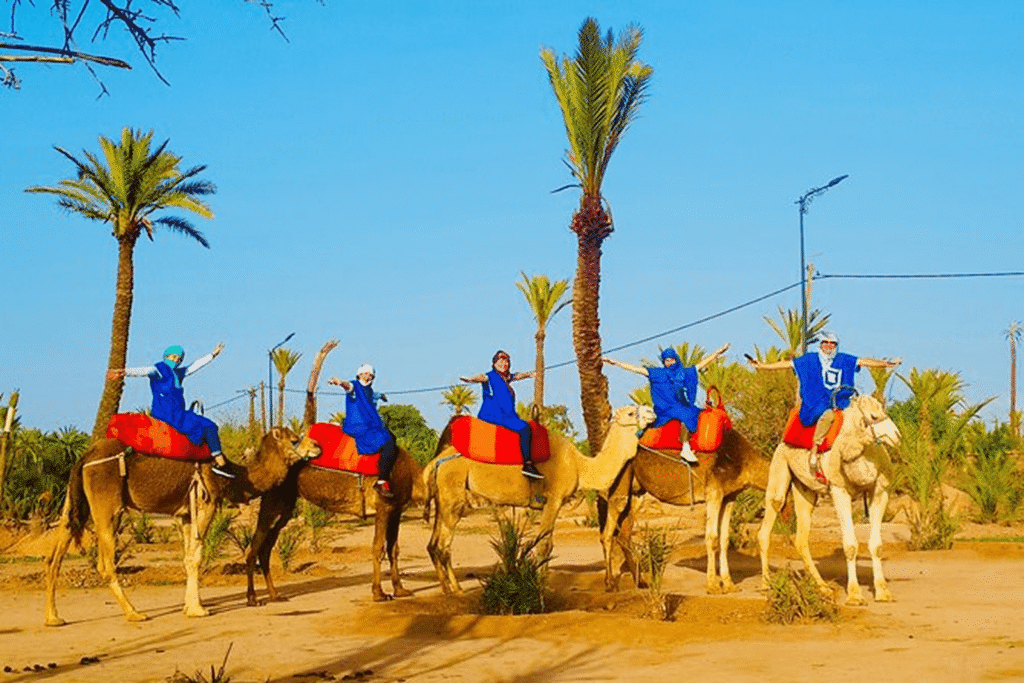 Agafay Desert Camel Ride Sunset Adventure & Views