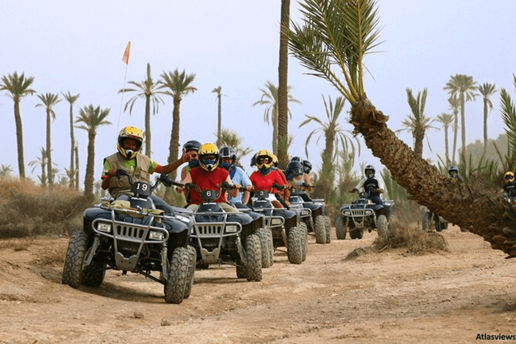 Quad Biking & Camel Ride In The Palmeraie