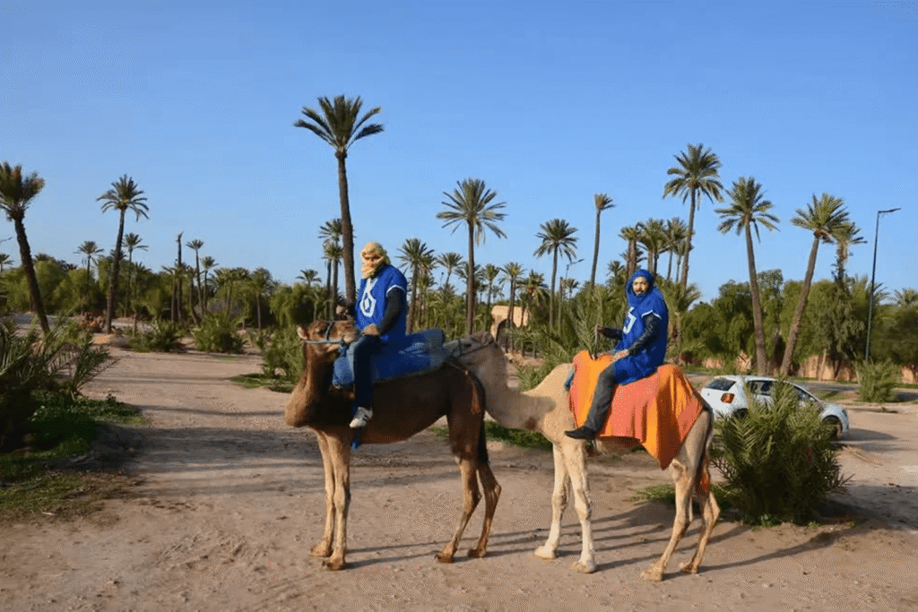 Quad Biking & Camel Ride In The Palmeraie